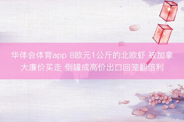 华体会体育app 8欧元1公斤的北欧虾 被加拿大廉价买走 倒罐成高价出口回笼翻倍利