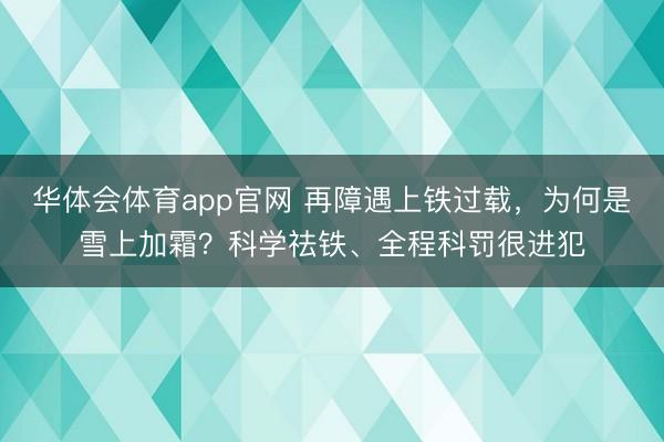 华体会体育app官网 再障遇上铁过载，为何是雪上加霜？科学祛铁、全程科罚很进犯